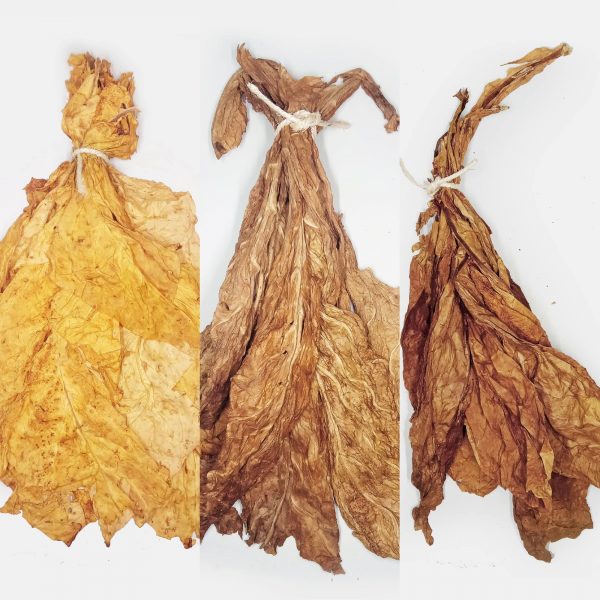 feuilles de tabac Lucky Strike